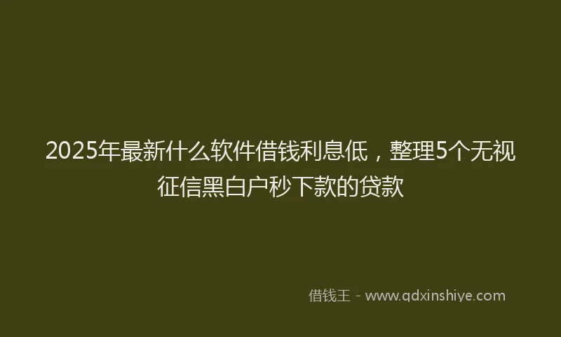 2025年最新什么软件借钱利息低，整理5个无视征信黑白户秒下款的贷款