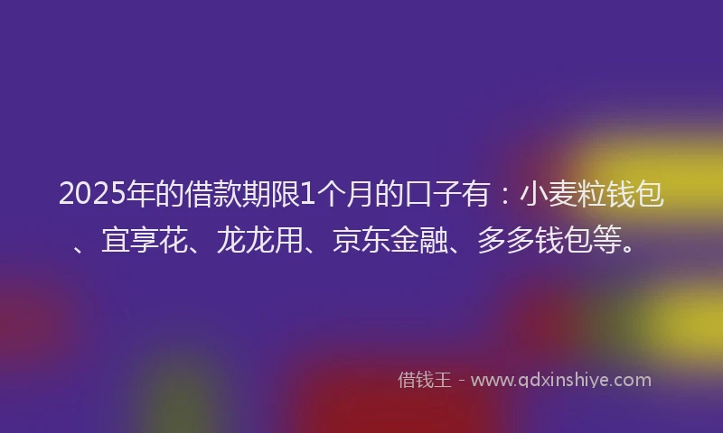 2025年的借款期限1个月的口子有：小麦粒钱包、宜享花、龙龙用、京东金融、多多钱包等。