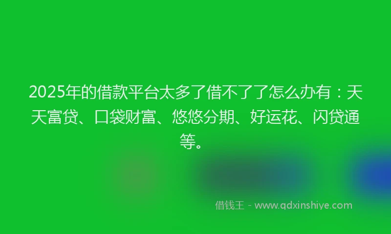 2025年的借款平台太多了借不了了怎么办有：天天富贷、口袋财富、悠悠分期、好运花、闪贷通等。