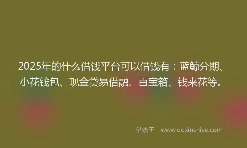 2025年的什么借钱平台可以借钱有：蓝鲸分期、小花钱包、现金贷易借融、百宝箱、钱来花等。