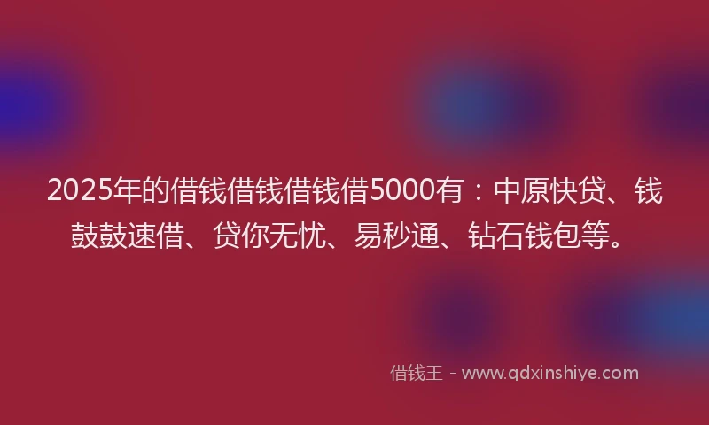 2025年的借钱借钱借钱借5000有：中原快贷、钱鼓鼓速借、贷你无忧、易秒通、钻石钱包等。