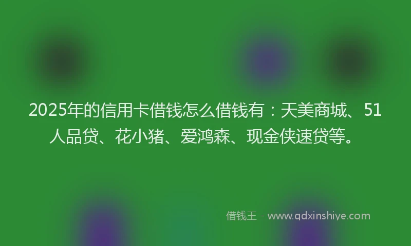 2025年的信用卡借钱怎么借钱有：天美商城、51人品贷、花小猪、爱鸿森、现金侠速贷等。