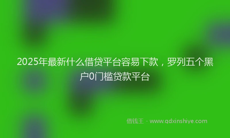 2025年最新什么借贷平台容易下款，罗列五个黑户0门槛贷款平台