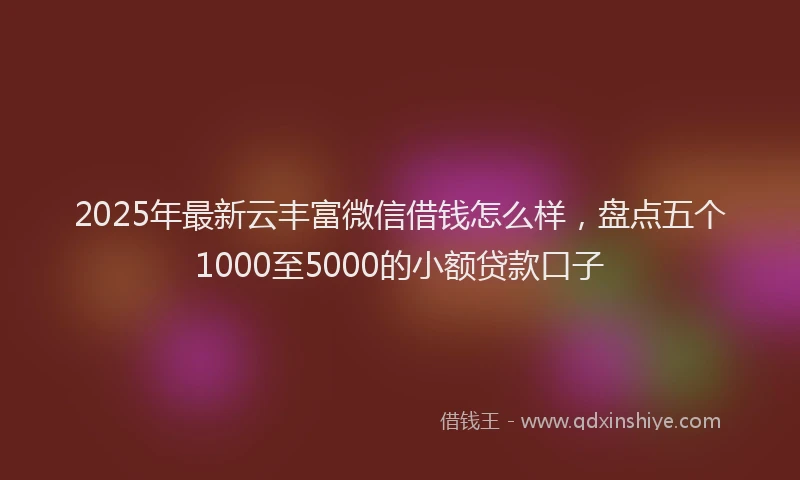 2025年最新云丰富微信借钱怎么样，盘点五个1000至5000的小额贷款口子