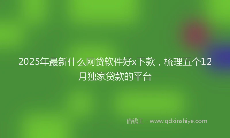 2025年最新什么网贷软件好x下款，梳理五个12月独家贷款的平台