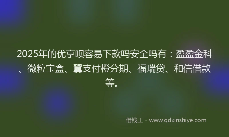 2025年的优享呗容易下款吗安全吗有：盈盈金科、微粒宝盒、翼支付橙分期、福瑞贷、和信借款等。
