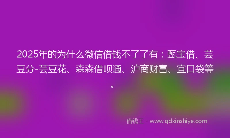 2025年的为什么微信借钱不了了有：甄宝借、芸豆分-芸豆花、森森借呗通、沪商财富、宜口袋等。