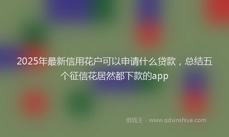2025年最新信用花户可以申请什么贷款，总结五个征信花居然都下款的app