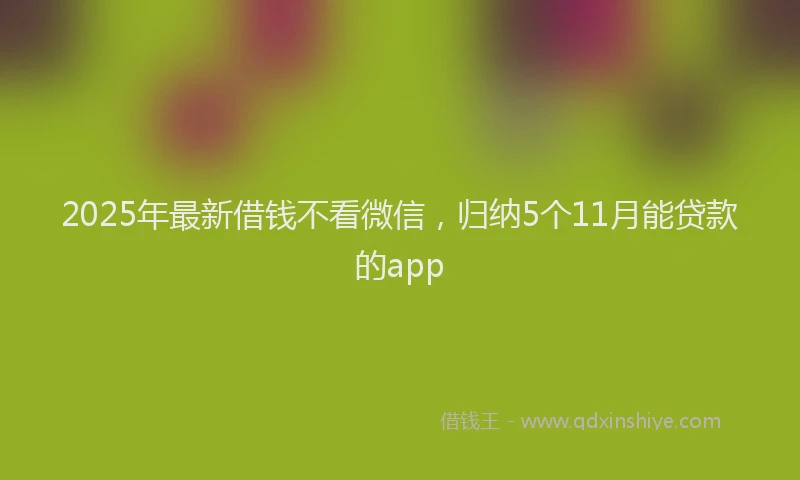 2025年最新借钱不看微信，归纳5个11月能贷款的app