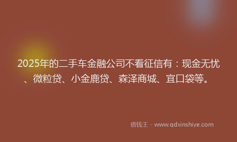 2025年的二手车金融公司不看征信有：现金无忧、微粒贷、小金鹿贷、森泽商城、宜口袋等。