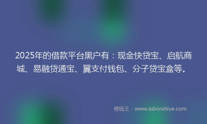2025年的借款平台黑户有：现金快贷宝、启航商城、易融贷通宝、翼支付钱包、分子贷宝盒等。