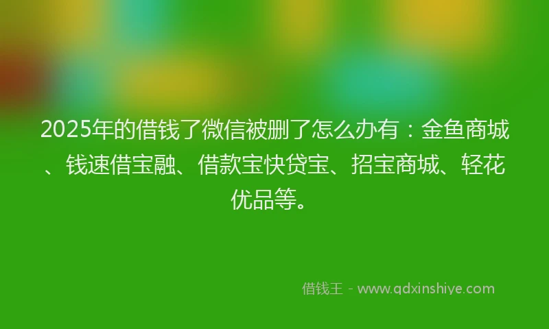 2025年的借钱了微信被删了怎么办有：金鱼商城、钱速借宝融、借款宝快贷宝、招宝商城、轻花优品等。