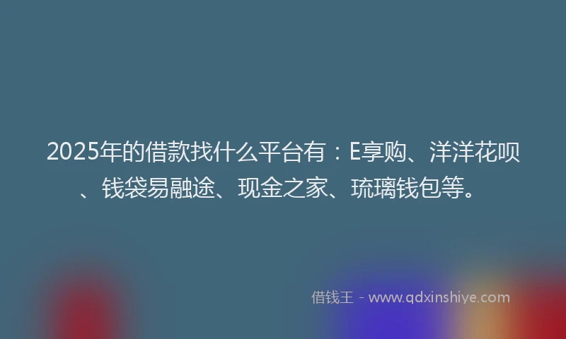 2025年的借款找什么平台有：E享购、洋洋花呗、钱袋易融途、现金之家、琉璃钱包等。