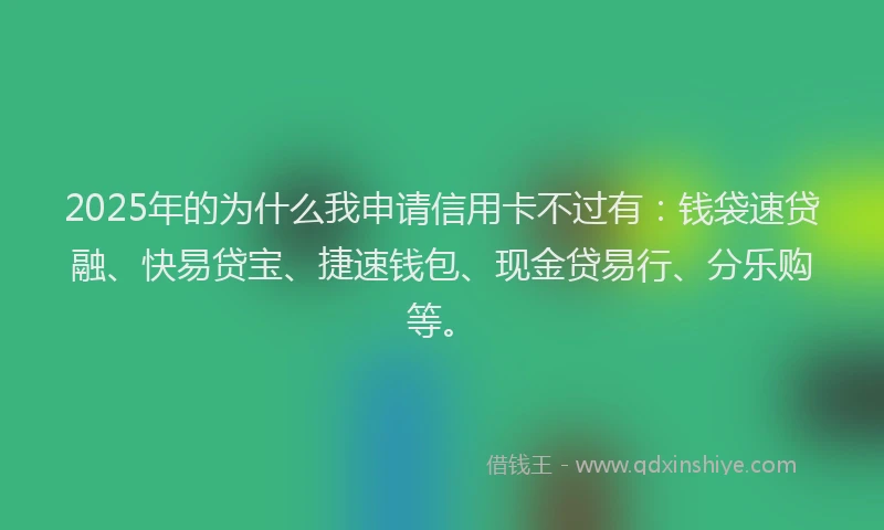 2025年的为什么我申请信用卡不过有：钱袋速贷融、快易贷宝、捷速钱包、现金贷易行、分乐购等。