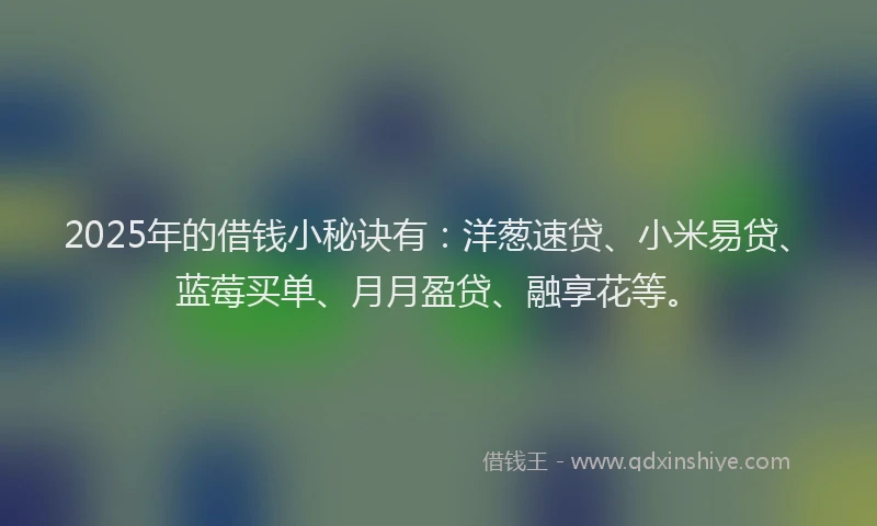 2025年的借钱小秘诀有：洋葱速贷、小米易贷、蓝莓买单、月月盈贷、融享花等。