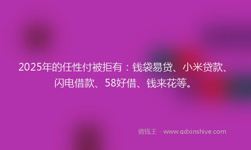 2025年的任性付被拒有：钱袋易贷、小米贷款、闪电借款、58好借、钱来花等。