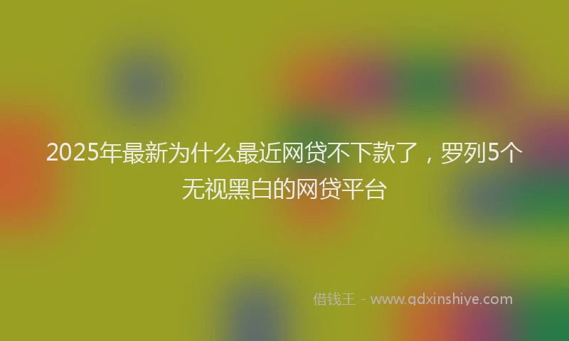 2025年最新为什么最近网贷不下款了，罗列5个无视黑白的网贷平台