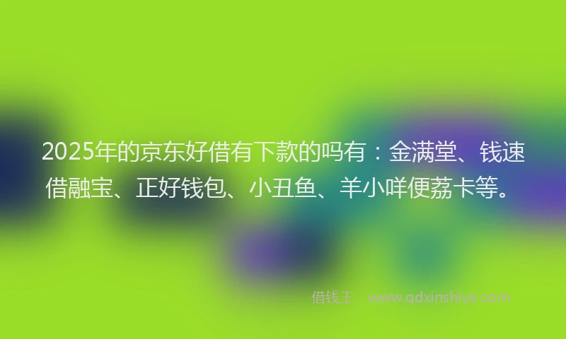 2025年的京东好借有下款的吗有：金满堂、钱速借融宝、正好钱包、小丑鱼、羊小咩便荔卡等。