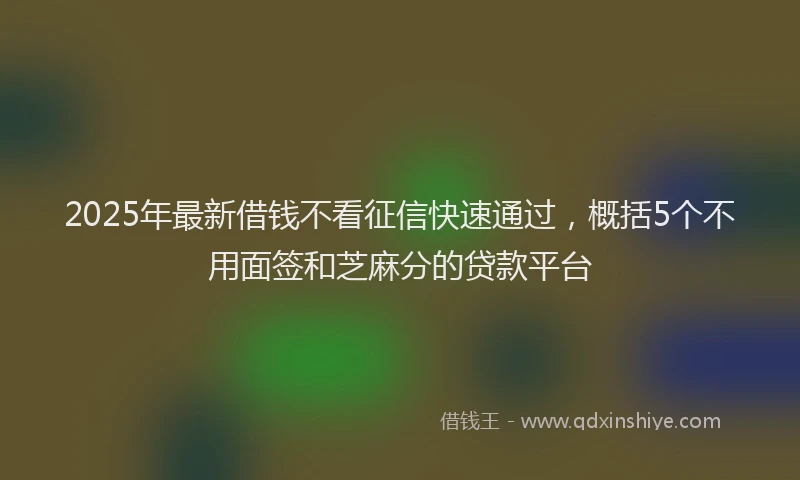 2025年最新借钱不看征信快速通过，概括5个不用面签和芝麻分的贷款平台