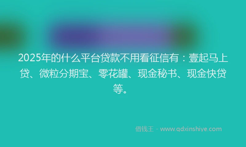 2025年的什么平台贷款不用看征信有：壹起马上贷、微粒分期宝、零花罐、现金秘书、现金快贷等。