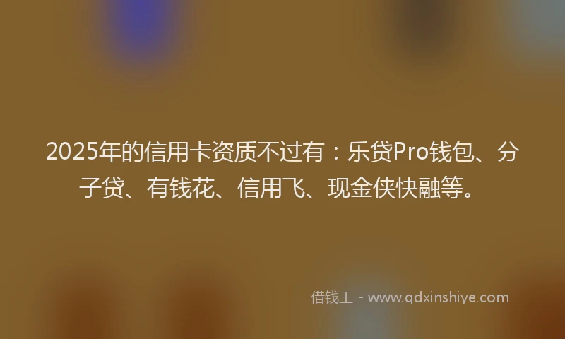 2025年的信用卡资质不过有：乐贷Pro钱包、分子贷、有钱花、信用飞、现金侠快融等。