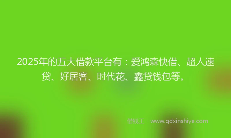 2025年的五大借款平台有：爱鸿森快借、超人速贷、好居客、时代花、鑫贷钱包等。