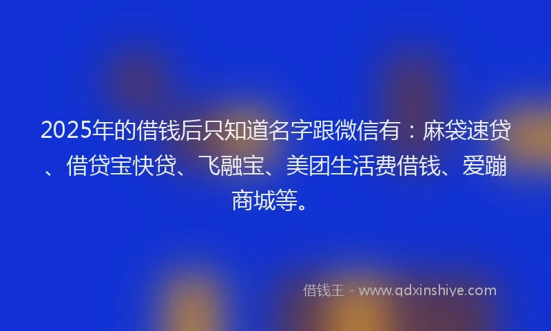 2025年的借钱后只知道名字跟微信有：麻袋速贷、借贷宝快贷、飞融宝、美团生活费借钱、爱蹦商城等。