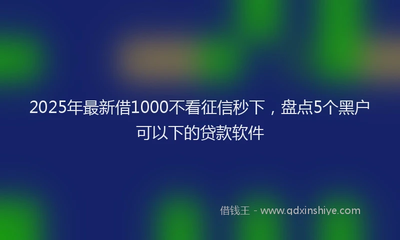 2025年最新借1000不看征信秒下，盘点5个黑户可以下的贷款软件