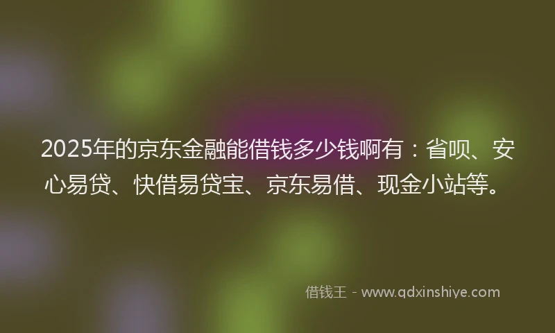 2025年的京东金融能借钱多少钱啊有：省呗、安心易贷、快借易贷宝、京东易借、现金小站等。