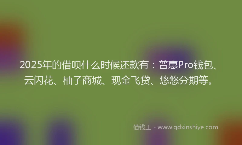 2025年的借呗什么时候还款有：普惠Pro钱包、云闪花、柚子商城、现金飞贷、悠悠分期等。