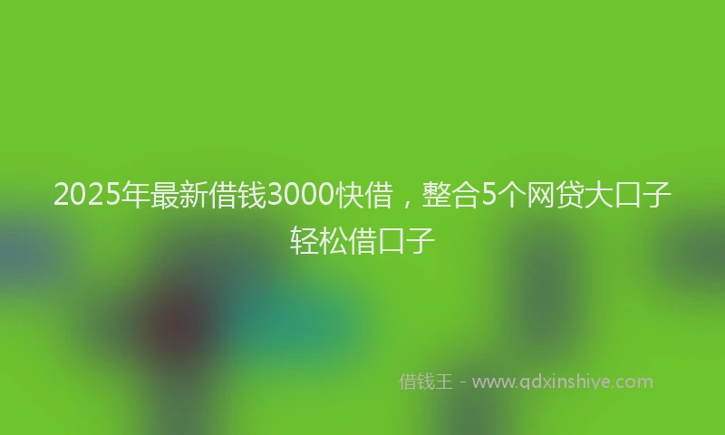 2025年最新借钱3000快借，整合5个网贷大口子轻松借口子
