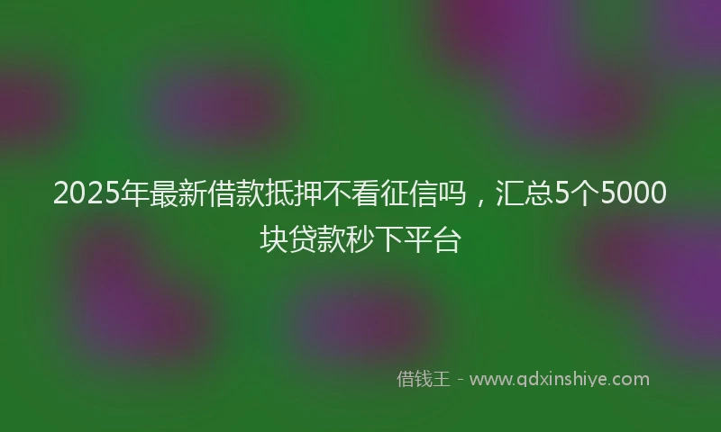 2025年最新借款抵押不看征信吗，汇总5个5000块贷款秒下平台