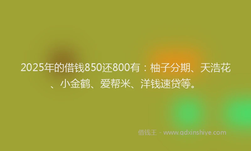 2025年的借钱850还800有：柚子分期、天浩花、小金鹤、爱帮米、洋钱速贷等。