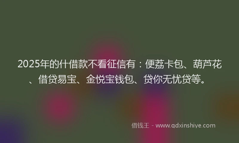 2025年的什借款不看征信有：便荔卡包、葫芦花、借贷易宝、金悦宝钱包、贷你无忧贷等。