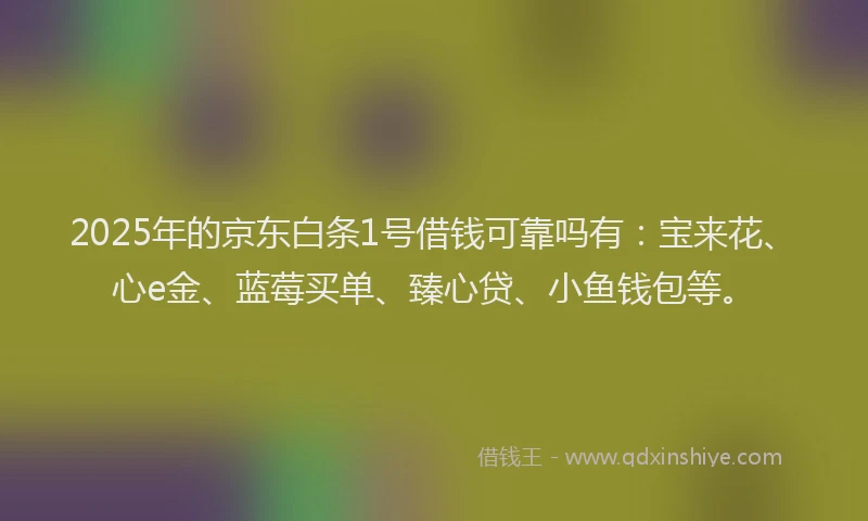 2025年的京东白条1号借钱可靠吗有：宝来花、心e金、蓝莓买单、臻心贷、小鱼钱包等。