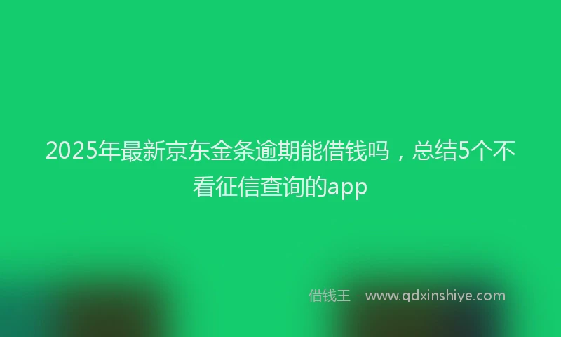 2025年最新京东金条逾期能借钱吗，总结5个不看征信查询的app