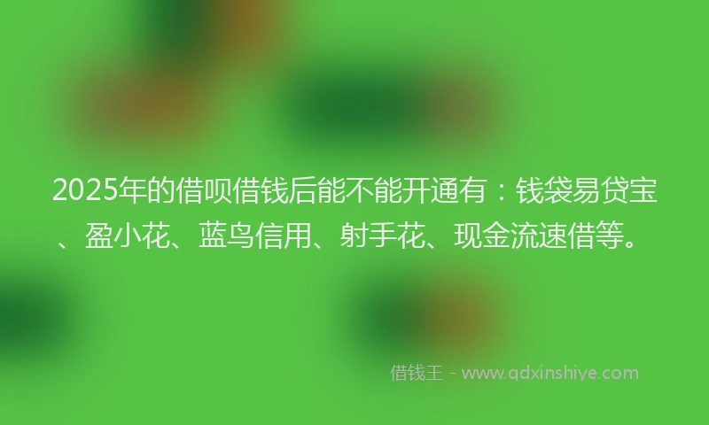 2025年的借呗借钱后能不能开通有：钱袋易贷宝、盈小花、蓝鸟信用、射手花、现金流速借等。