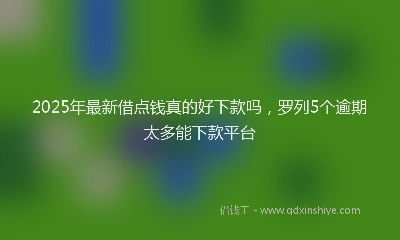 2025年最新借点钱真的好下款吗，罗列5个逾期太多能下款平台