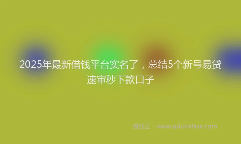 2025年最新借钱平台实名了，总结5个新号易贷速审秒下款口子