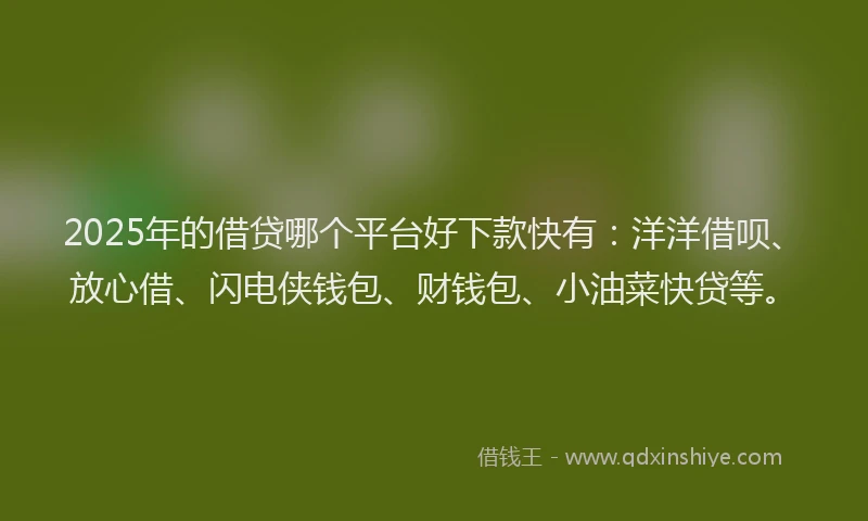 2025年的借贷哪个平台好下款快有：洋洋借呗、放心借、闪电侠钱包、财钱包、小油菜快贷等。