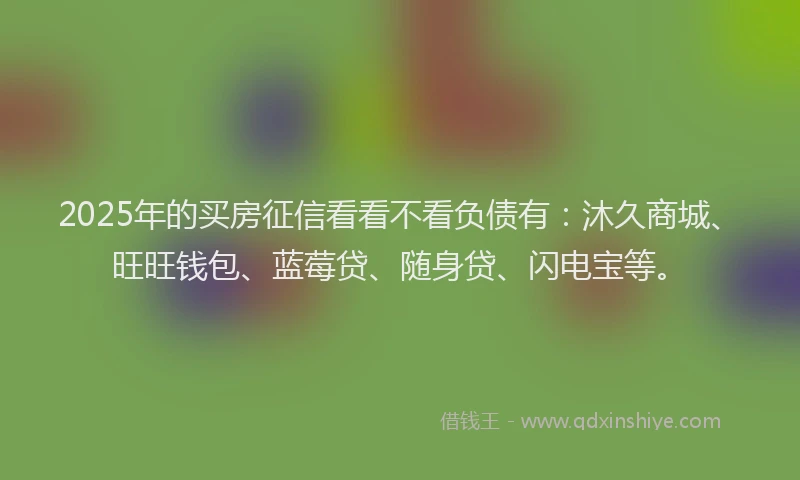 2025年的买房征信看看不看负债有：沐久商城、旺旺钱包、蓝莓贷、随身贷、闪电宝等。