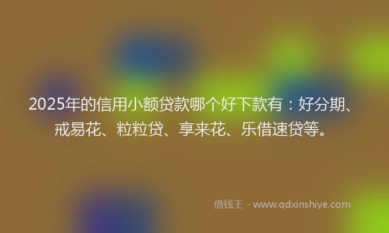 2025年的信用小额贷款哪个好下款有：好分期、戒易花、粒粒贷、享来花、乐借速贷等。