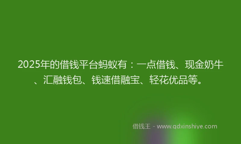 2025年的借钱平台蚂蚁有：一点借钱、现金奶牛、汇融钱包、钱速借融宝、轻花优品等。