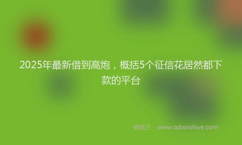 2025年最新借到高炮，概括5个征信花居然都下款的平台