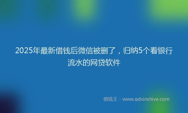 2025年最新借钱后微信被删了，归纳5个看银行流水的网贷软件