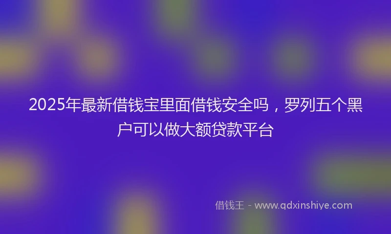 2025年最新借钱宝里面借钱安全吗，罗列五个黑户可以做大额贷款平台