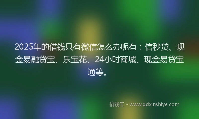2025年的借钱只有微信怎么办呢有：信秒贷、现金易融贷宝、乐宝花、24小时商城、现金易贷宝通等。