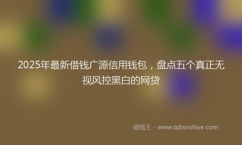 2025年最新借钱广源信用钱包，盘点五个真正无视风控黑白的网贷