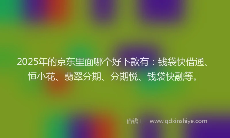 2025年的京东里面哪个好下款有：钱袋快借通、恒小花、翡翠分期、分期悦、钱袋快融等。
