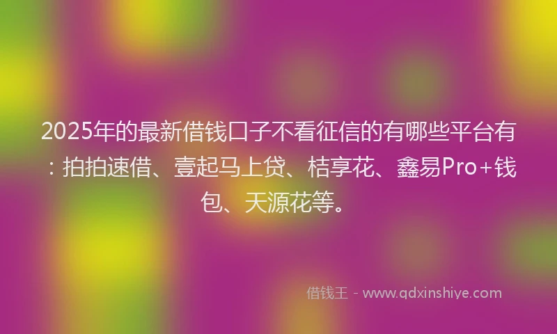2025年的最新借钱口子不看征信的有哪些平台有：拍拍速借、壹起马上贷、桔享花、鑫易Pro+钱包、天源花等。